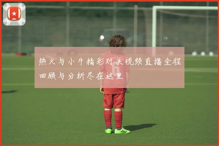 热火与小牛精彩对决视频直播全程回顾与分析尽在这里