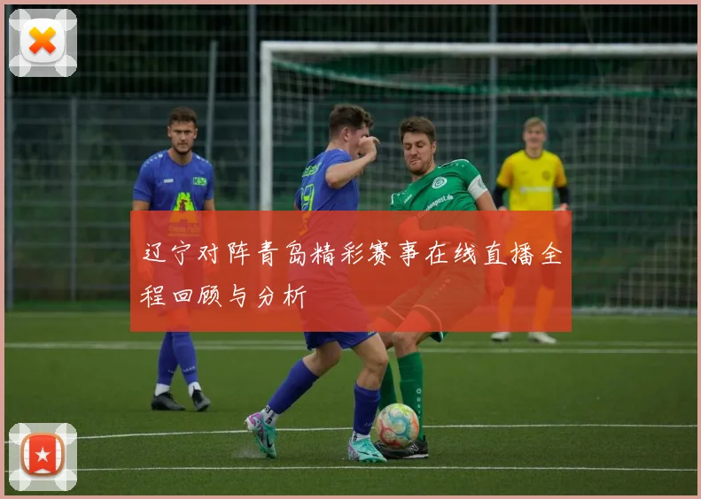 辽宁对阵青岛精彩赛事在线直播全程回顾与分析