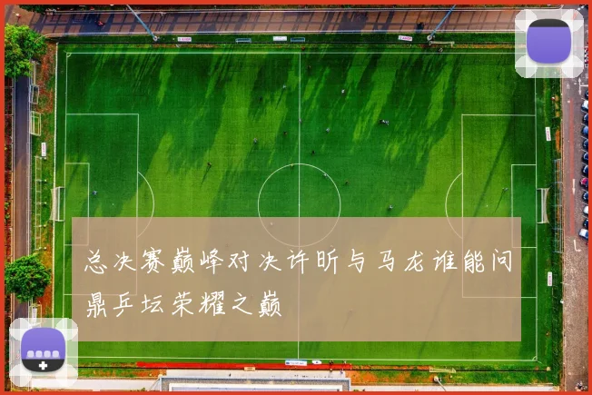 总决赛巅峰对决许昕与马龙谁能问鼎乒坛荣耀之巅